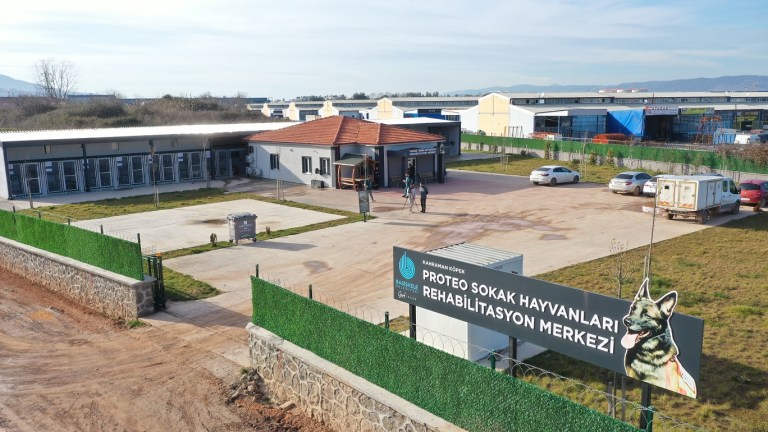 Başiskele’de Sokak Hayvanları İçin Yeni Adım!