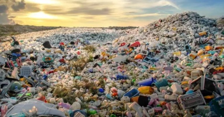 ‘Plastik atıklar doğmamış bebekler için bile büyük tehdit’