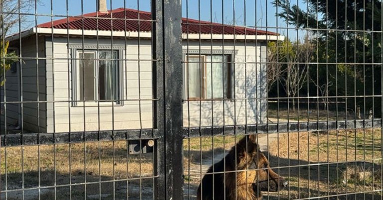 Emekli polis eşini eşarp ile boğdu