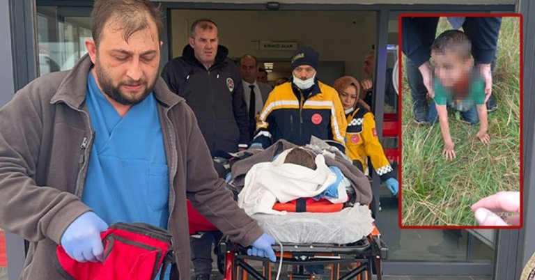 Sokak köpeği 6 yaşındaki çocuğu ağır yaraladı