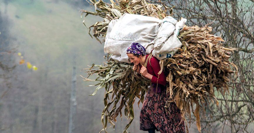 Karadeniz’in nemindeki sinsi tehlike