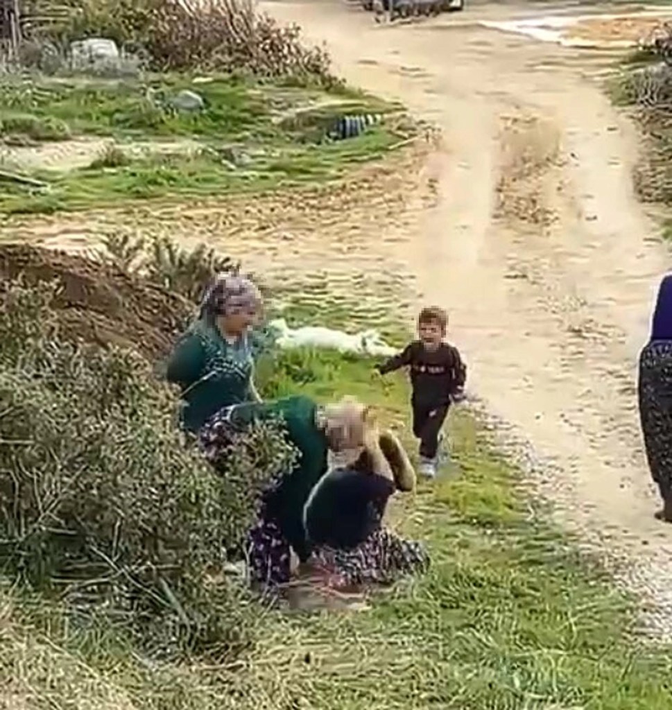 Manisa'da Arazi Kavgası: Kuzenler Arasında Şiddet