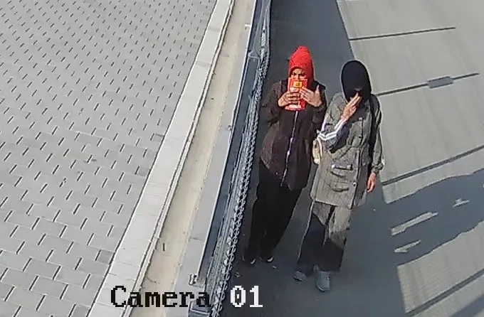 Adana'da Hırsızlık Zanlıları: Arkadaş Ziyareti İddiası