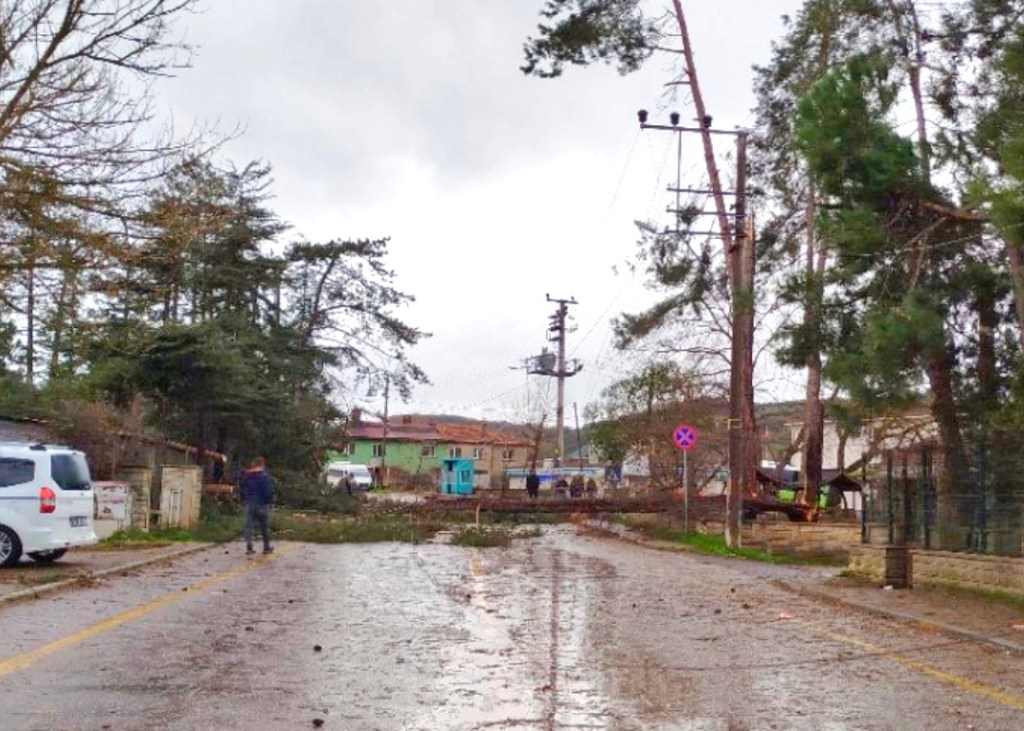 Kandıra Akçaova’da Fırtına Yolu Kapattı!