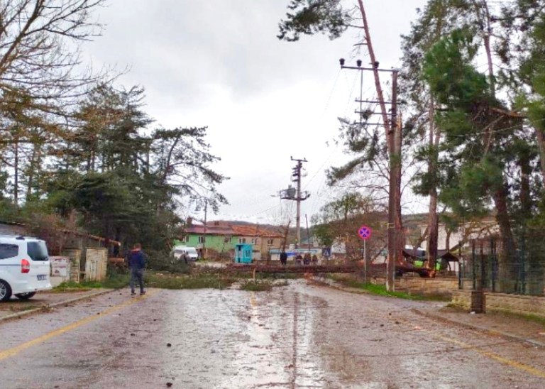 Kandıra Akçaova’da Fırtına Yolu Kapattı!