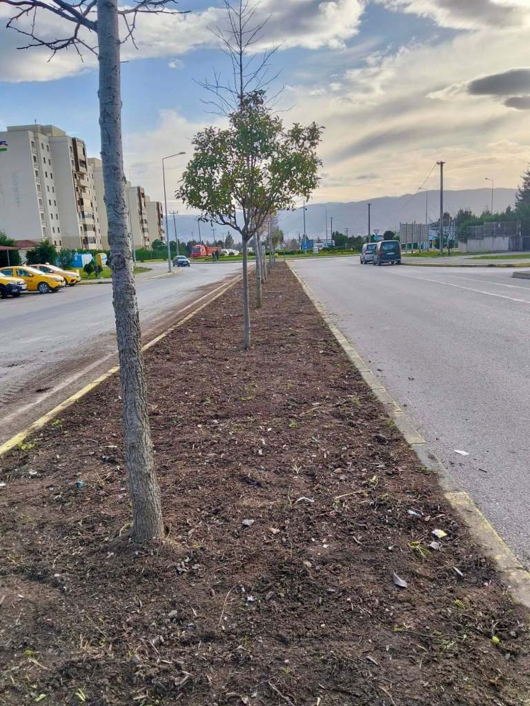 Körfez’de Çevre Düzenlemesi Sürüyor!