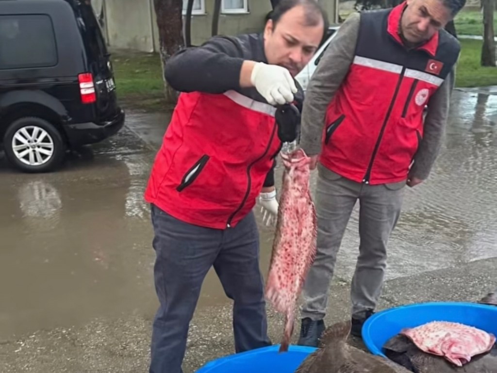 Kefken’de Kaçak Avcılık Engellendi!