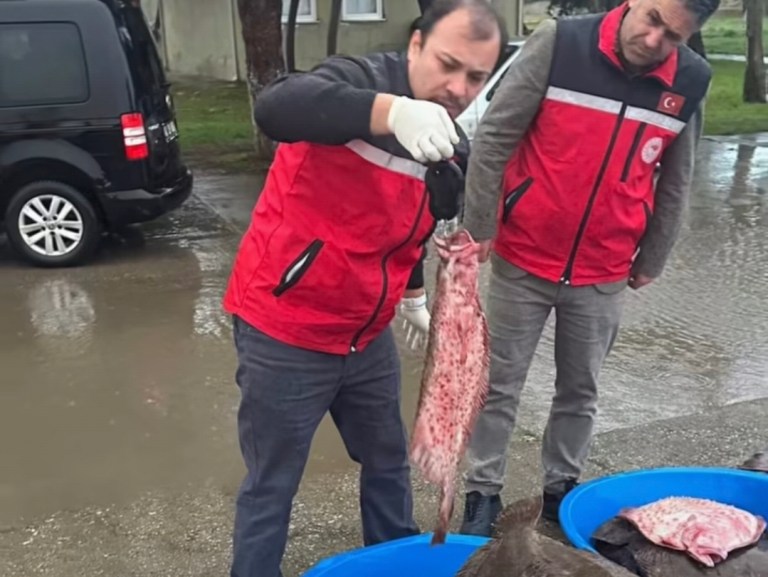 Kefken’de Kaçak Avcılık Engellendi!