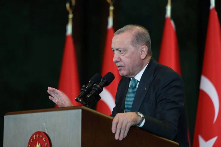 Cumhurbaşkanı Erdoğan’dan Küçükbaş Hayvancılığa Destek Müjdesi