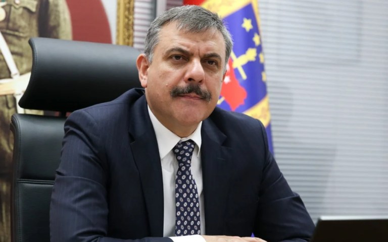 Başıboş köpek sorununa çözüm için valiliklere talimat