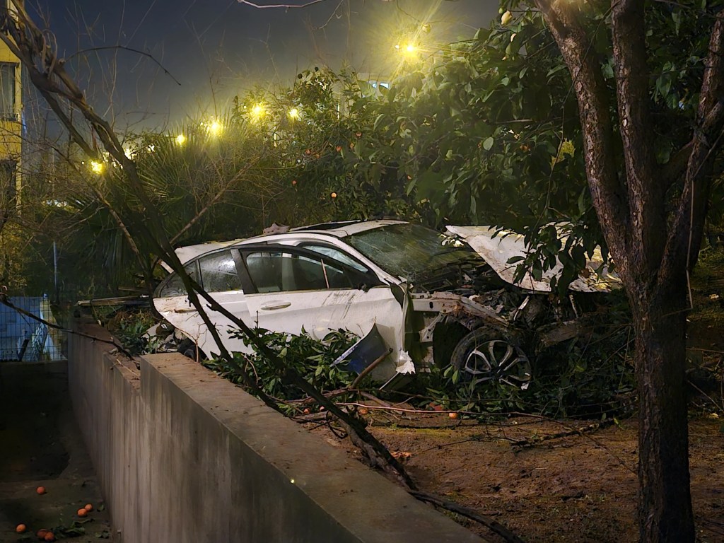 Adana'da Lastik Patlaması Kazaya Neden Oldu: 1 Ölü, 1 Yaralı