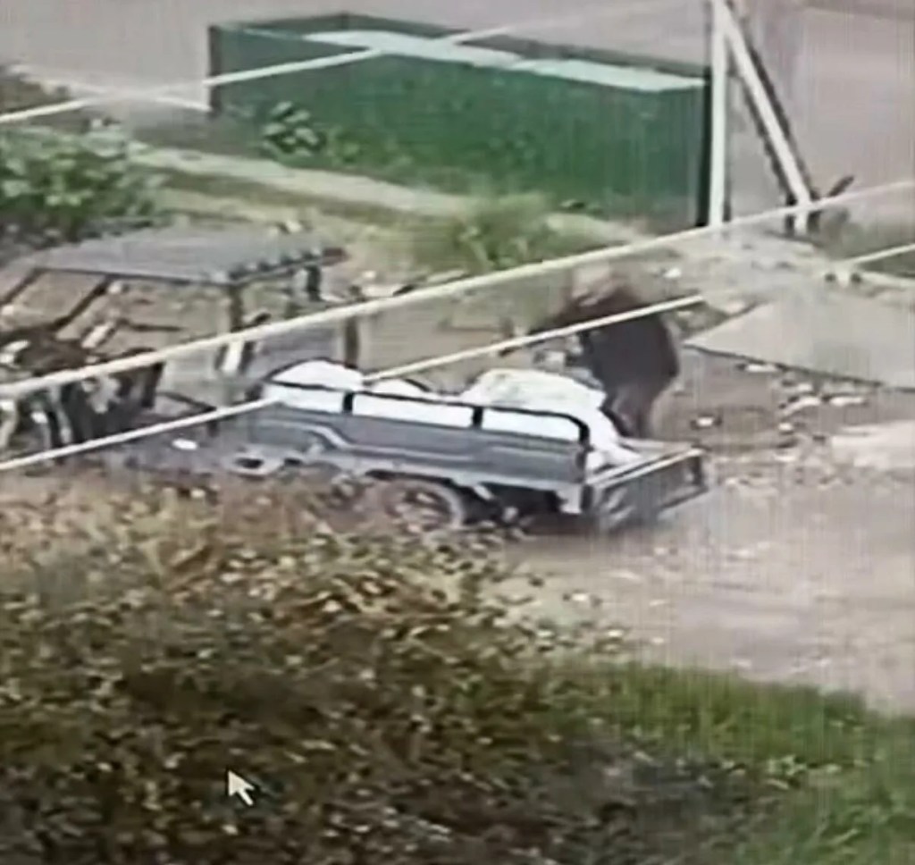 Bodrum'da Moloz Döken Kişiye 50 Bin Lira Ceza