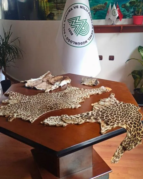 Çukurova Havalimanı'nda Yasa Dışı Ürün Operasyonu