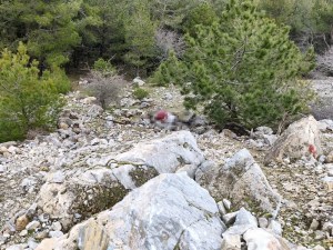 Aydın'da Uçurumda Bulunan Cesetle İlgili Dört Tutuklama