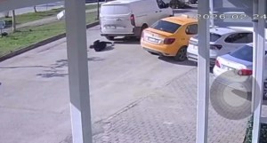 Adana'da Cep Telefonuyla İlgilenen Yayaya Kamyonet Çarptı