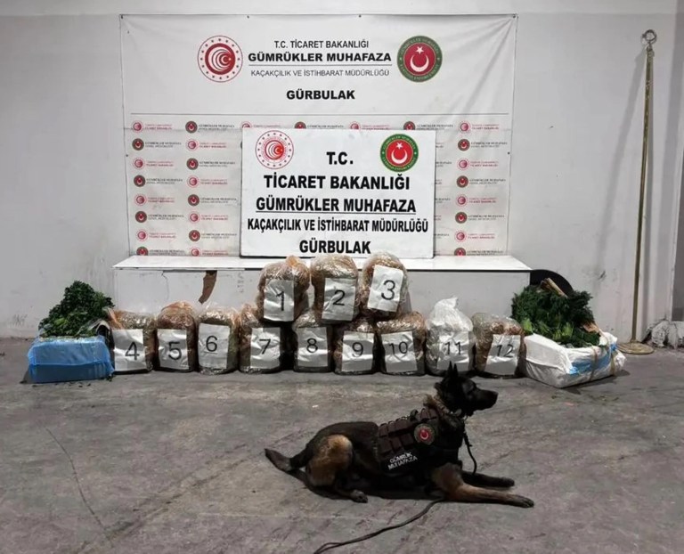 Maydanoz ve Dereotu Yüklü TIR'da Uyuşturucu Yakalandı