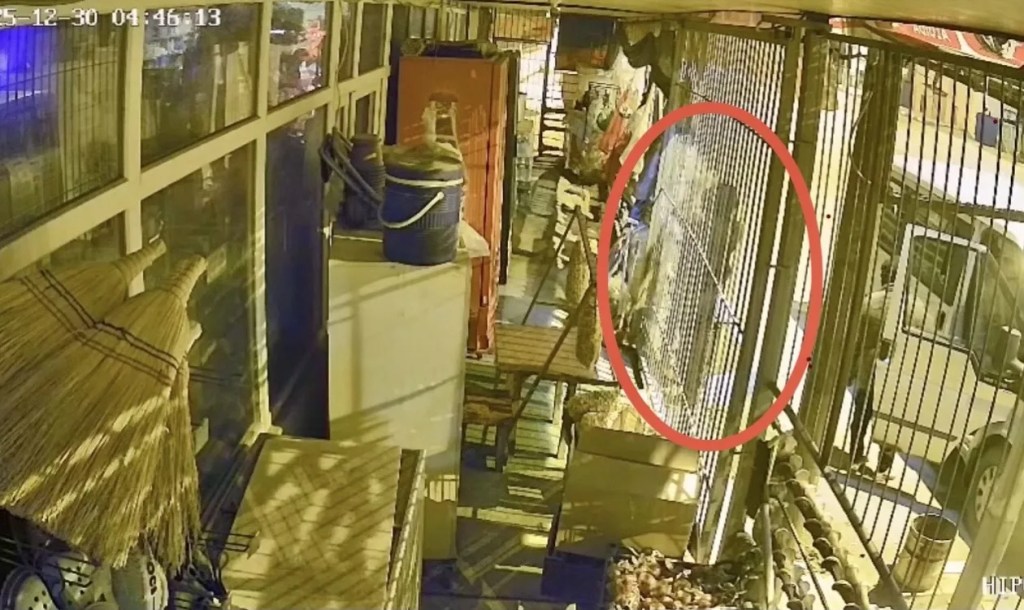 Osmaniye'de Çalıntı Araçla Hırsızlık: Bir Kişi Tutuklandı