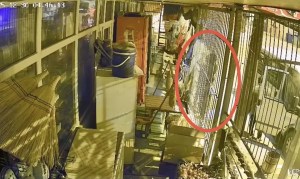 Osmaniye'de Çalıntı Araçla Hırsızlık: Bir Kişi Tutuklandı