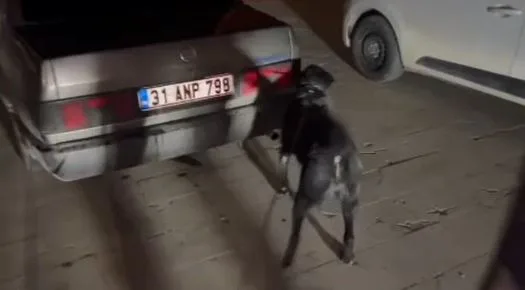 Hatay'da Uyuşturucu Operasyonu: Üç Kişi Tutuklandı
