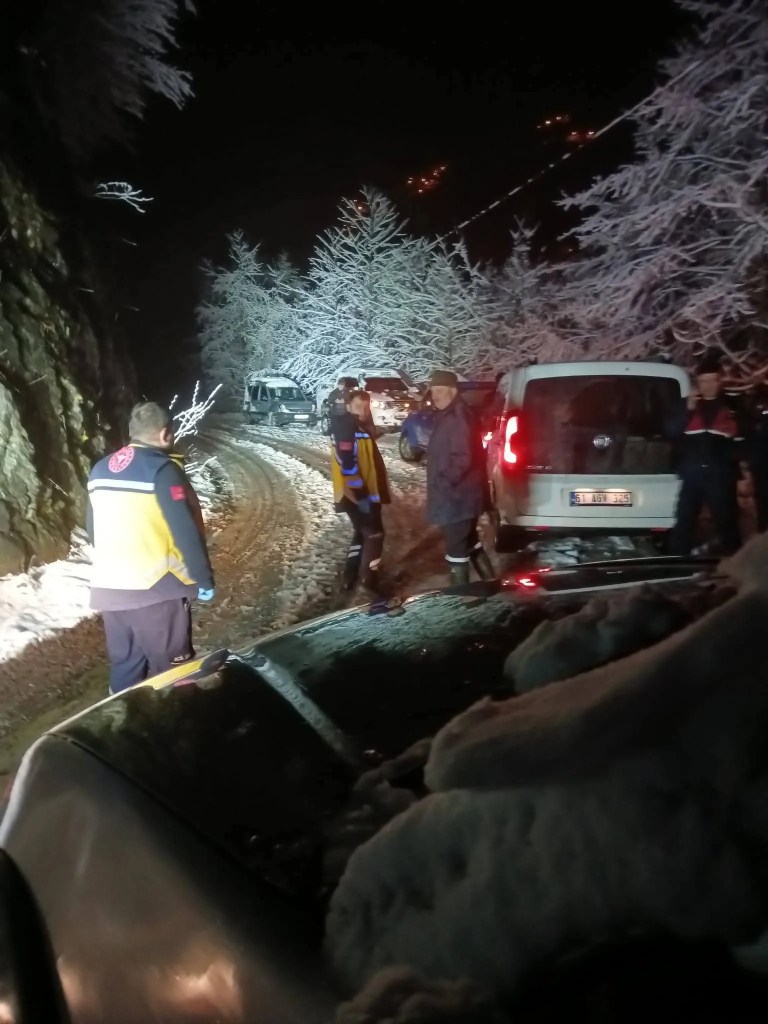 Trabzon'da Uçuruma Düşen Araçta Sürücü Hayatını Kaybetti