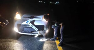 Batman'da Tilki Aracın Tamponuna Sıkıştı