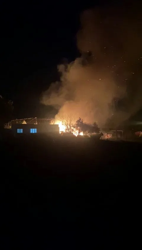 Adana'da Depo Yangını: 40 Güvercin Hayatını Kaybetti