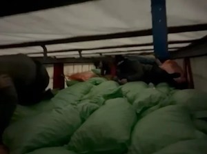 Sivas'ta Düzensiz Göçmen Operasyonları Sürüyor