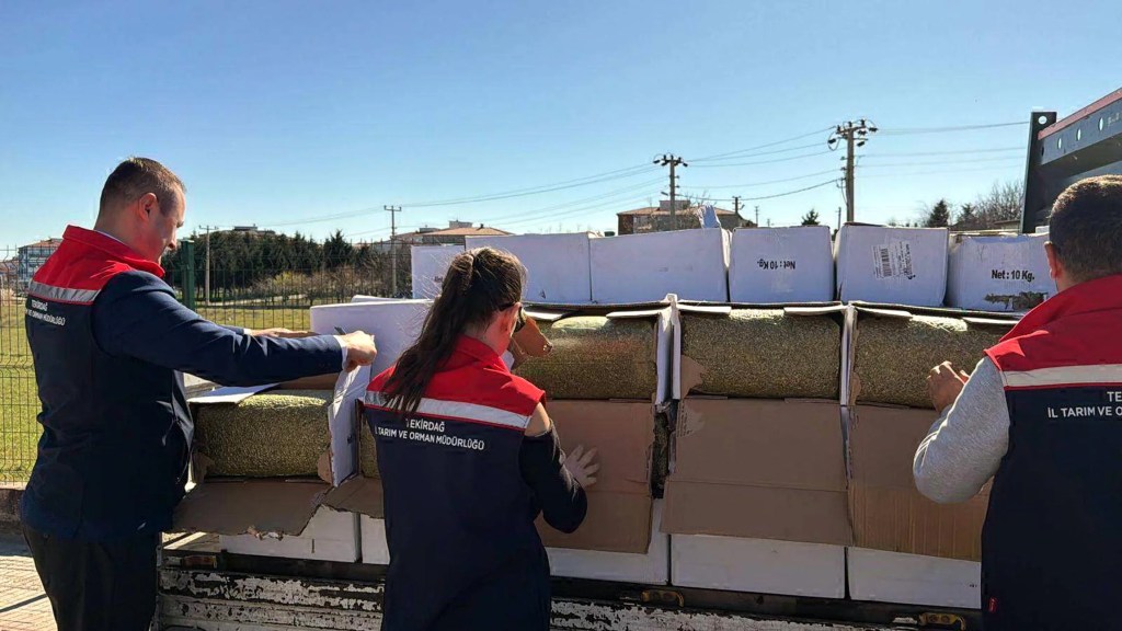 Tekirdağ'da Aflatoksinli Fıstık Operasyonu