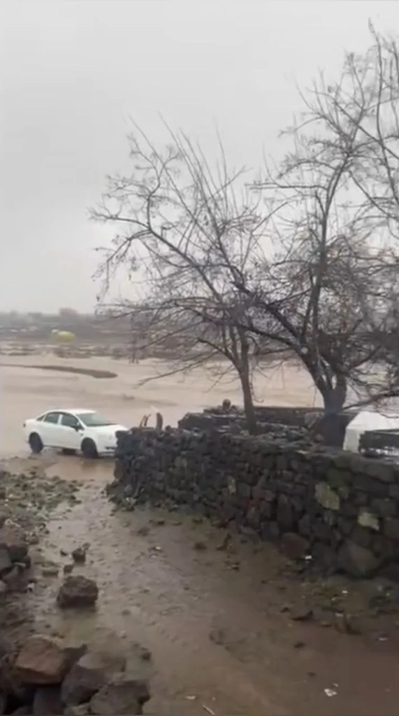 Diyarbakır'da Sağanak Yağış Tarım Arazilerini Vurdu