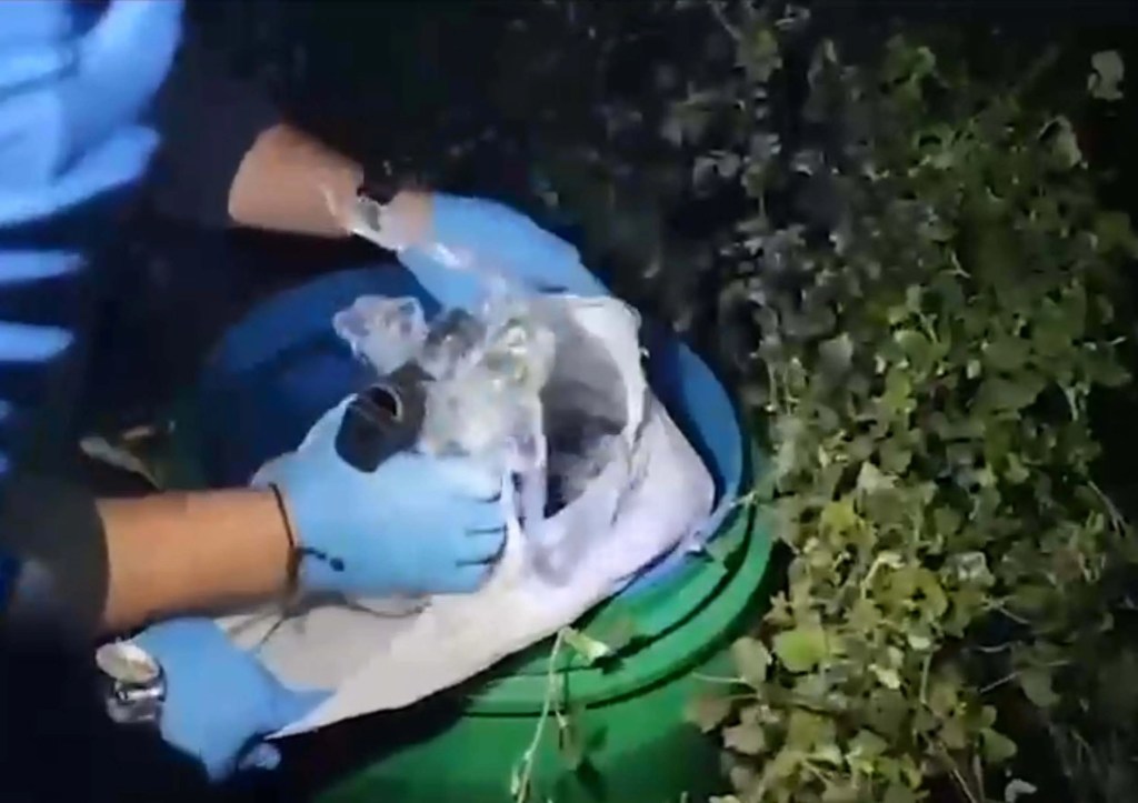 İzmir'de Ruhsatsız Silah Operasyonu: 149 Tabanca Ele Geçirildi