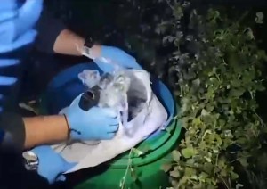 İzmir'de Ruhsatsız Silah Operasyonu: 149 Tabanca Ele Geçirildi