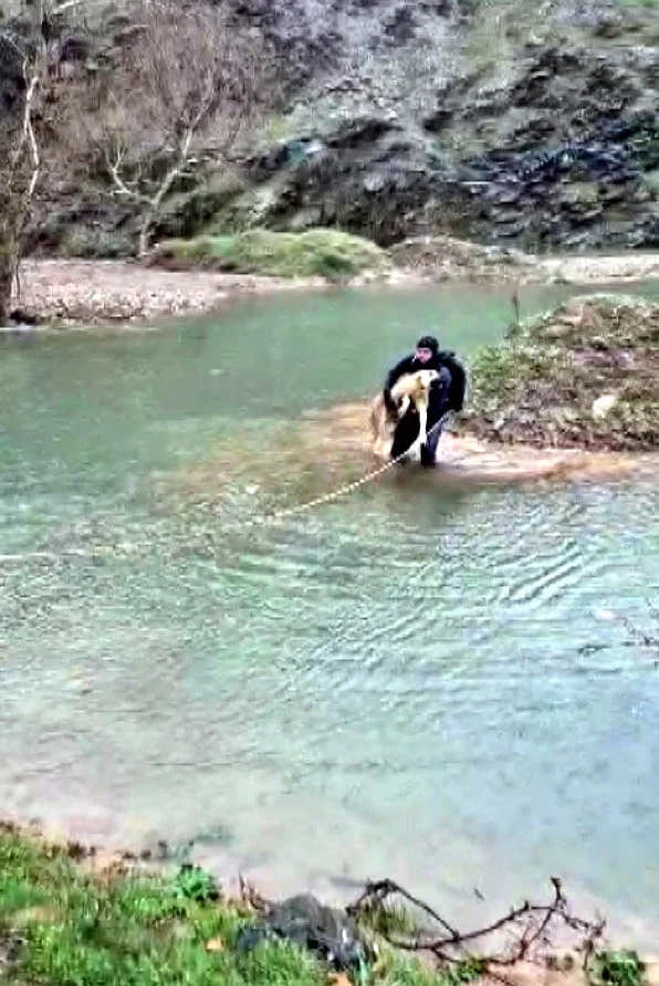 Kahramanmaraş'ta İtfaiye Eri Mahsur Kalan Köpeği Kurtardı