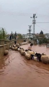 Hatay'da Şiddetli Yağışlar Günlük Hayatı Felç Etti