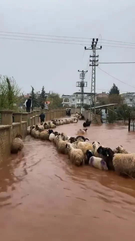 Hatay'da Şiddetli Yağışlar Günlük Hayatı Felç Etti