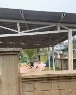 Hatay'da Şiddetli Yağışlar Günlük Hayatı Felç Etti