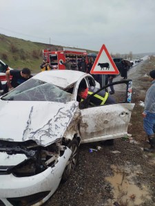 Bingöl'de Trafik Kazası: 1 Kişi Hayatını Kaybetti