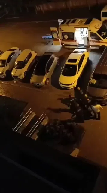Diyarbakır'da Korkunç Cinayet: Genç Kadın Hayatını Kaybetti