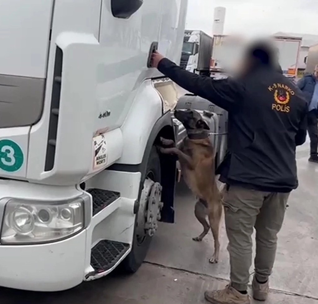 Edirne'de TIR'da 53 Kilo Skunk Ele Geçirildi