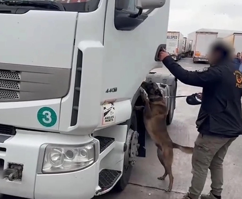 Edirne'de TIR'da 53 Kilo Skunk Ele Geçirildi