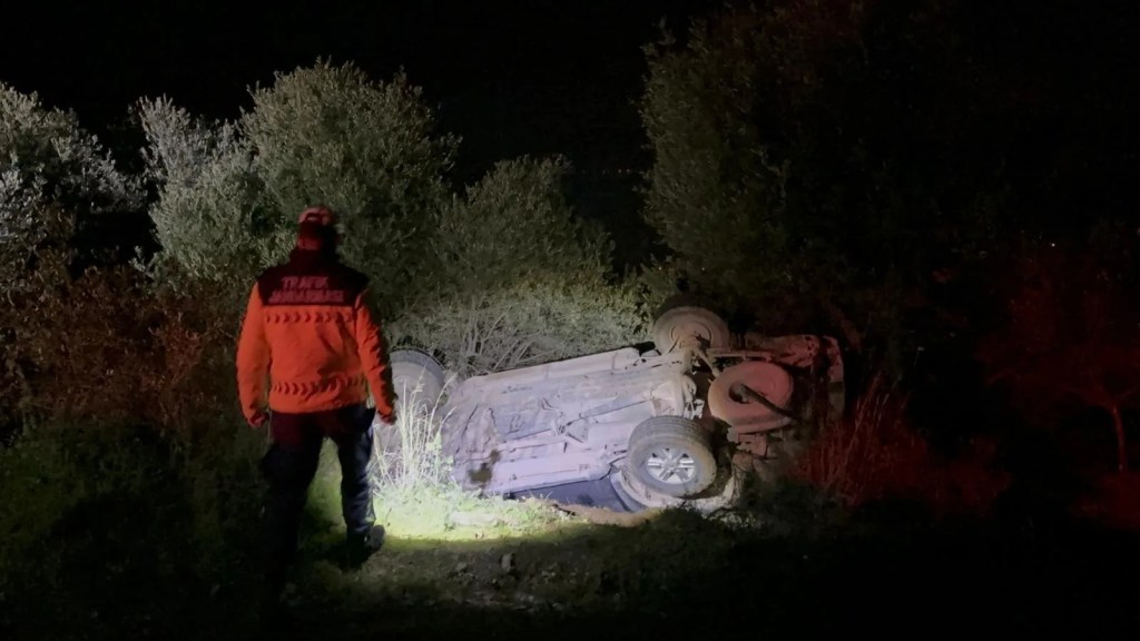 Bursa'da Alkollü Sürücü Zeytinliğe Uçtu
