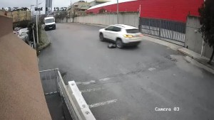 Avcılar'da Cip Sürücüsü Köpeği Ezdi ve Durmadan Uzaklaştı