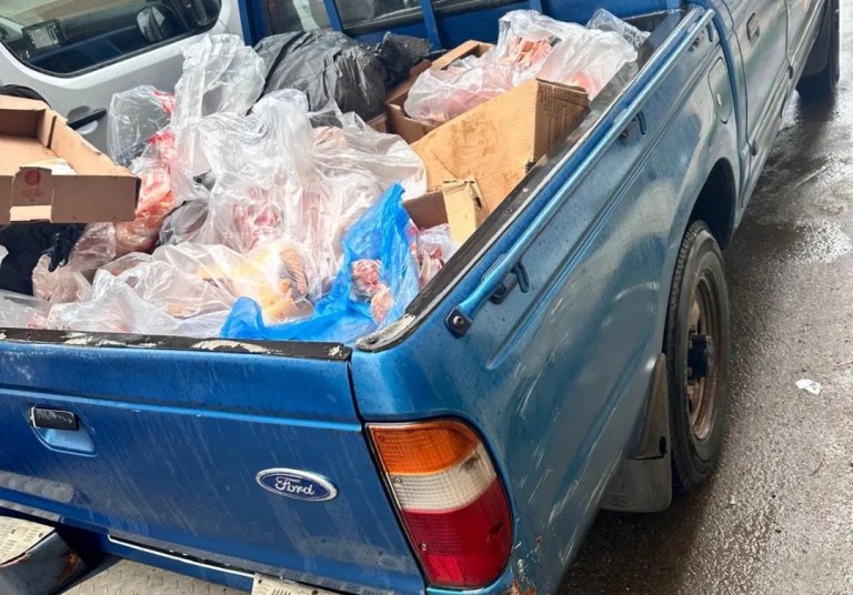 Sakarya'da Tarihi Geçmiş 200 Kilo Tavuk Eti Bulundu