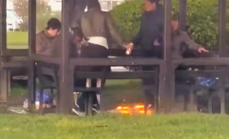 İzmit sahilinde alkol ve ateş yakan gençler tepki çekti