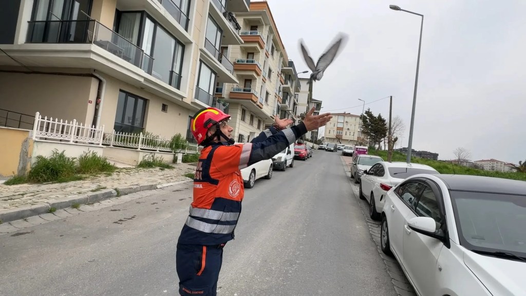 Avcılar'da Havalandırma Boşluğuna Düşen Kuşlar Kurtarıldı