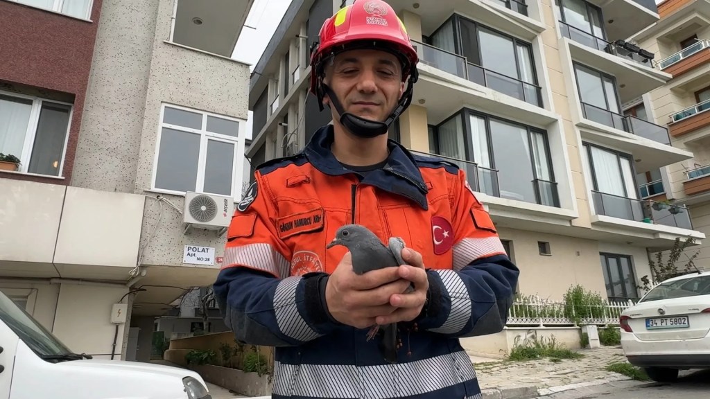 Avcılar'da Havalandırma Boşluğuna Düşen Kuşlar Kurtarıldı