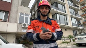 Avcılar'da Havalandırma Boşluğuna Düşen Kuşlar Kurtarıldı