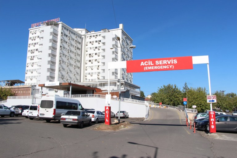 Diyarbakır'da Kaçan İnek Faciası: Bir Kişi Hayatını Kaybetti