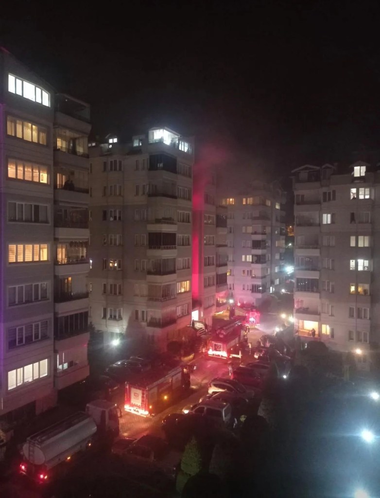 Ordu'da Ev Yangını: 80 Yaşındaki Adam Ağır Yaralandı