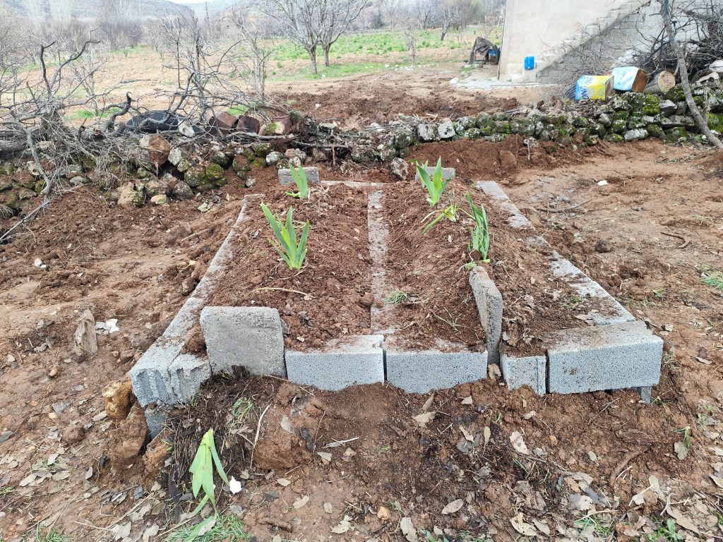 Mizgin Karadaş: Katiller En Ağır Cezayı Almalı