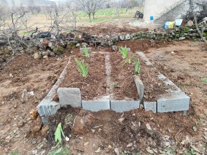 Mizgin Karadaş: Katiller En Ağır Cezayı Almalı